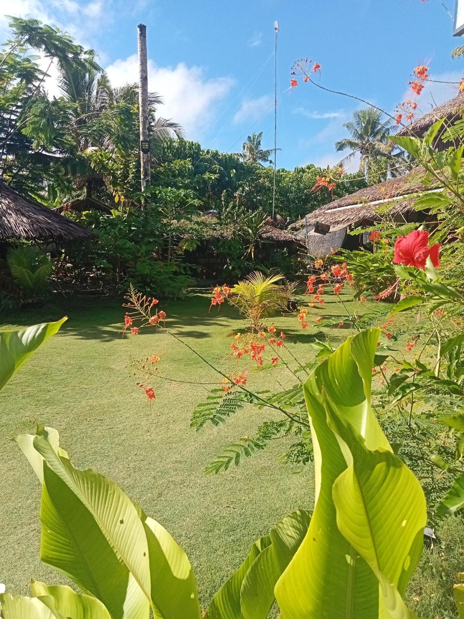 Weeroona Huts Homestay Pacifico San Isidro  Eksteriør billede